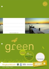 Ringbuchblock - A4, 100 Blatt, 70 g/qm, kariert